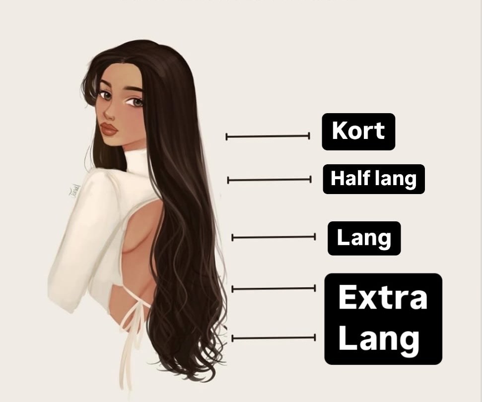 Haarlengte kaart: kort, half lang, lang en extra lang